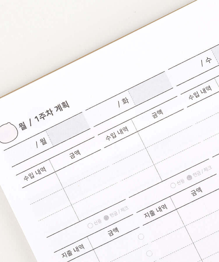 Kakao Friends Ryan Budget Book