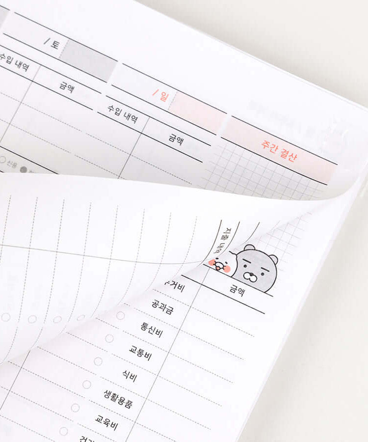 Kakao Friends Ryan Budget Book