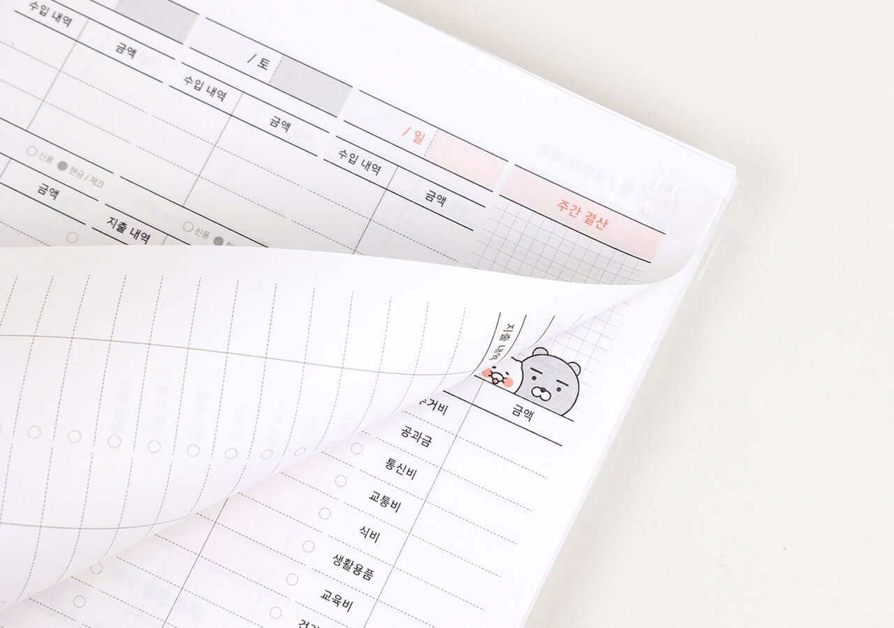 Kakao Friends Ryan Budget Book