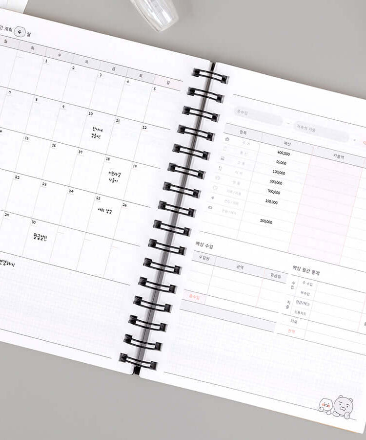 Kakao Friends Ryan Budget Book