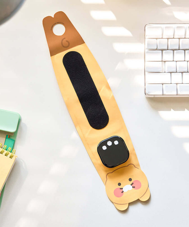 Kakao Friends Chunsik Massager