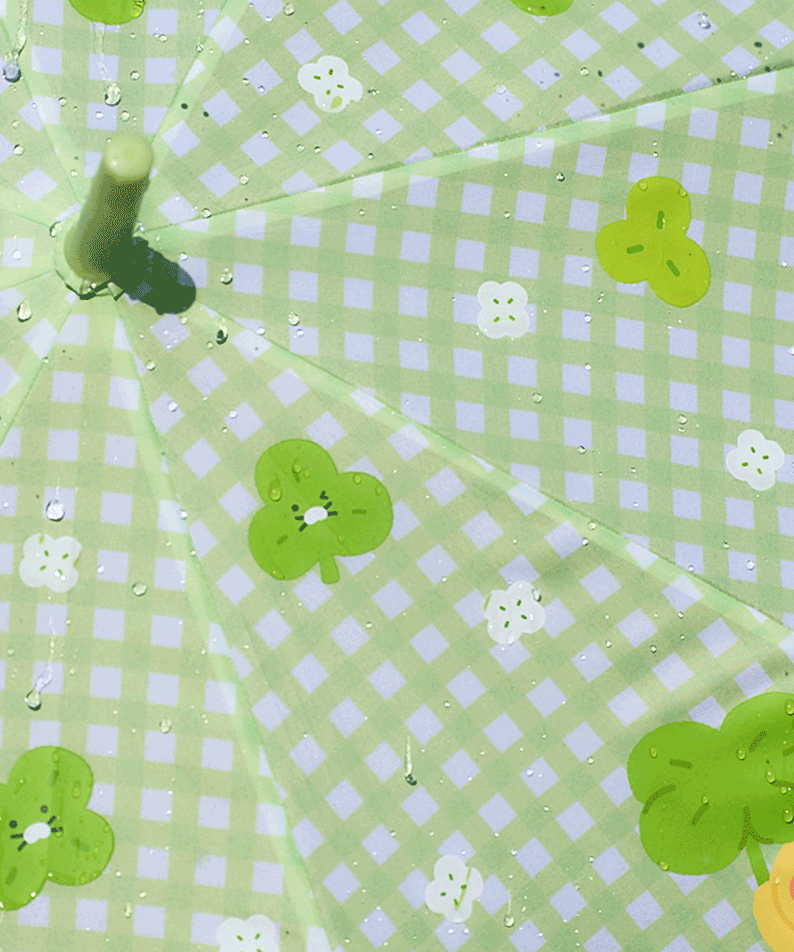 Kakao Friends Chunsik Long Umbrella