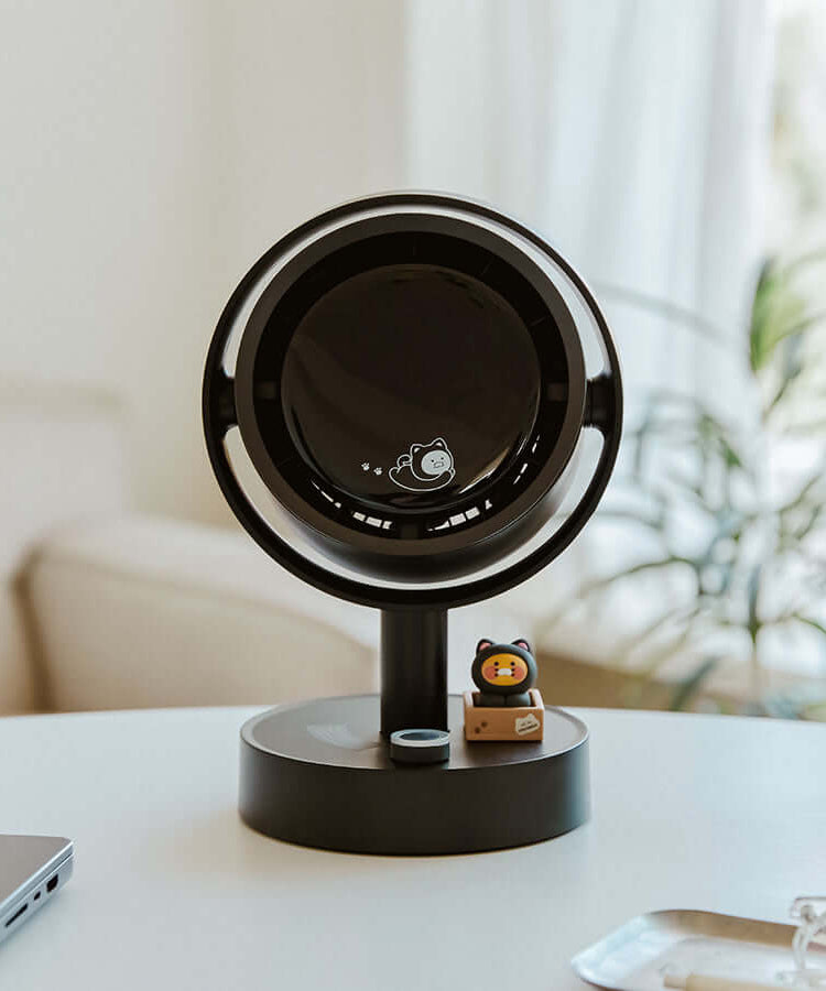 Kakao Friends Chunsik Fan