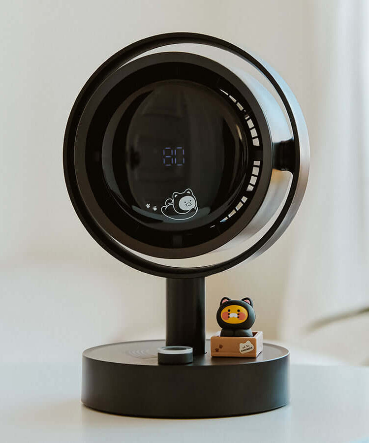 Kakao Friends Chunsik Fan