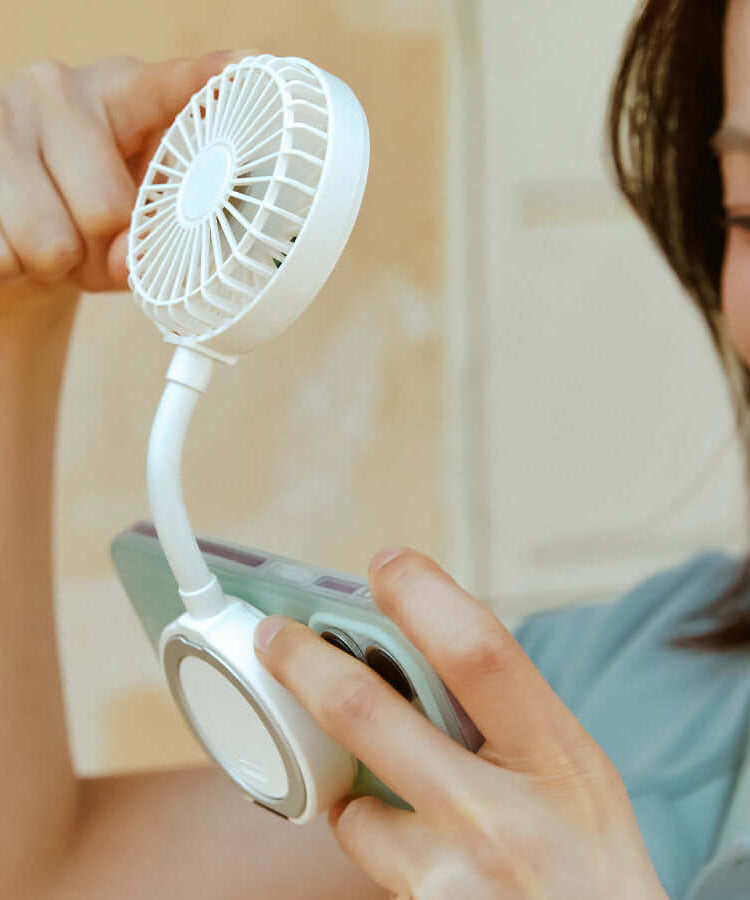 Kakao Friends Chunsik Handy Fan