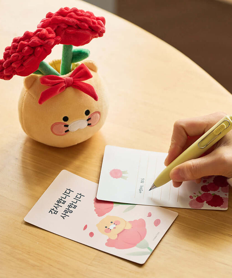Kakao Friends Chunsik Item