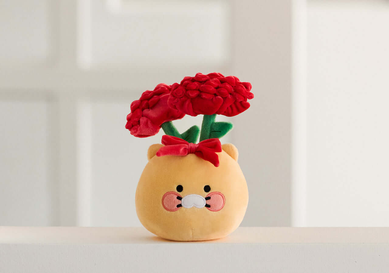 Kakao Friends Chunsik Item