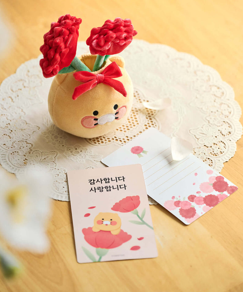 Kakao Friends Chunsik Item