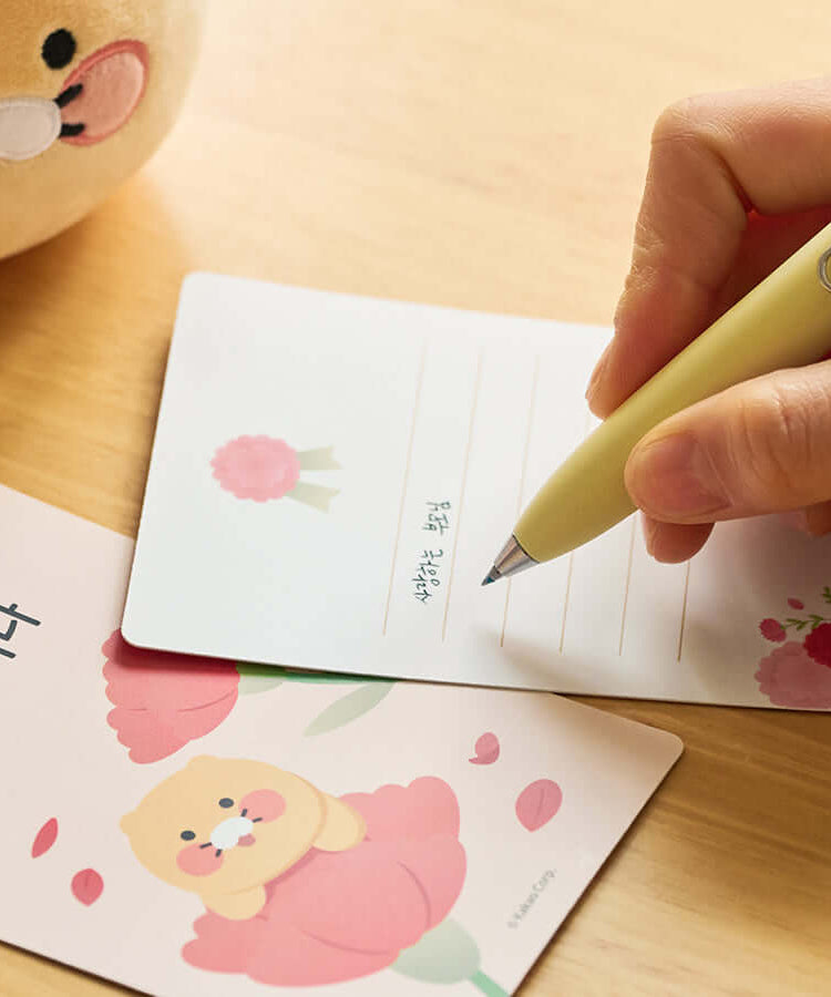 Kakao Friends Chunsik Item