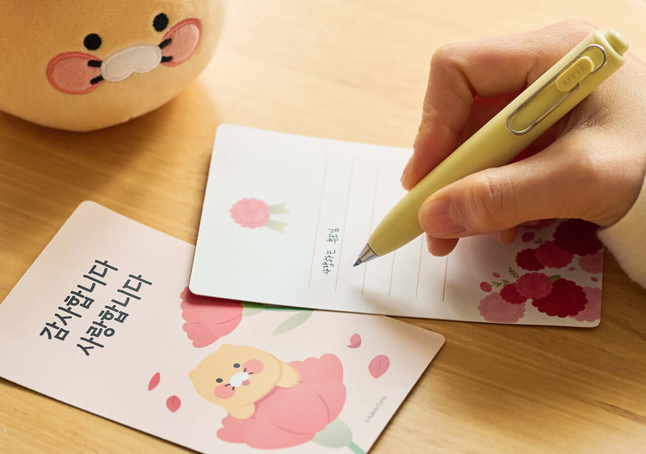 Kakao Friends Chunsik Item
