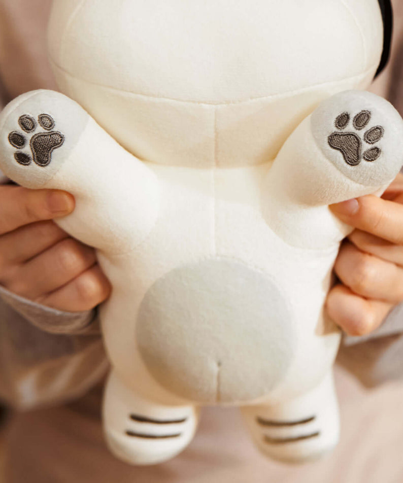 Kakao Friends Chunsik Mini Pillow
