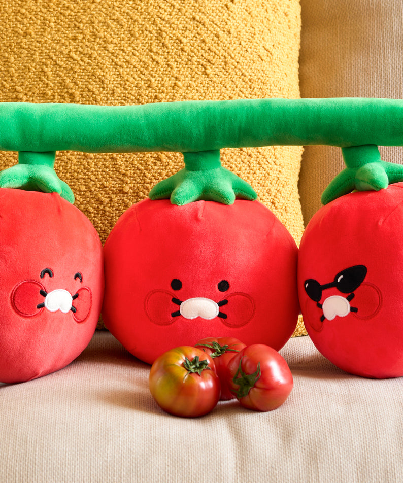 Kakao Friends Chunsik Cushion