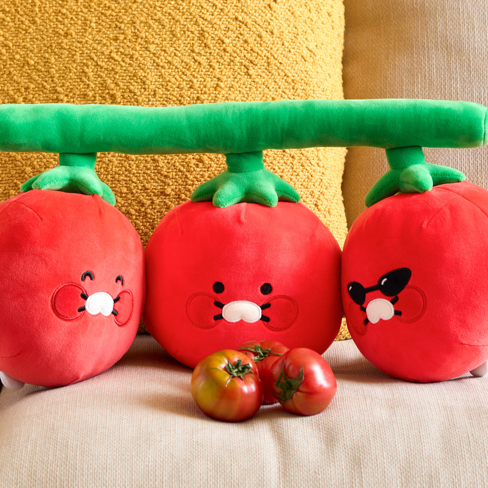 Kakao Friends Chunsik Cushion