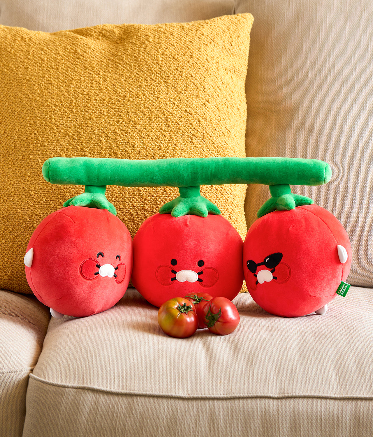 Kakao Friends Chunsik Cushion