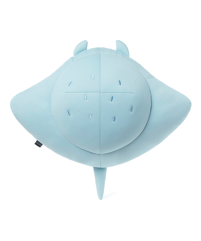 Kakao Friends Chunsik Cooling Pillow