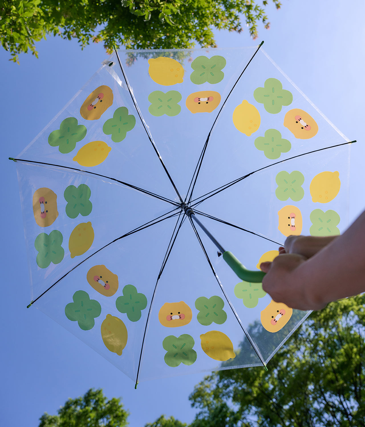 Kakao Friends Chunsik Clear Umbrella