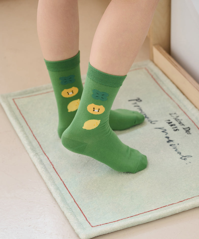 Kakao Friends Chunsik Socks