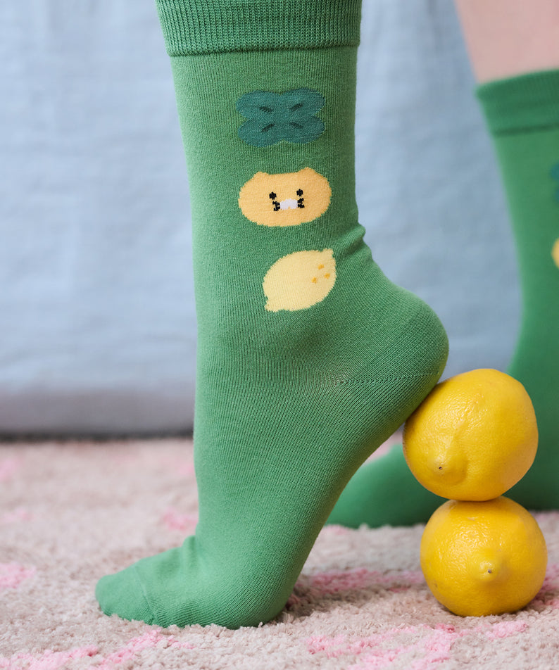 Kakao Friends Chunsik Socks