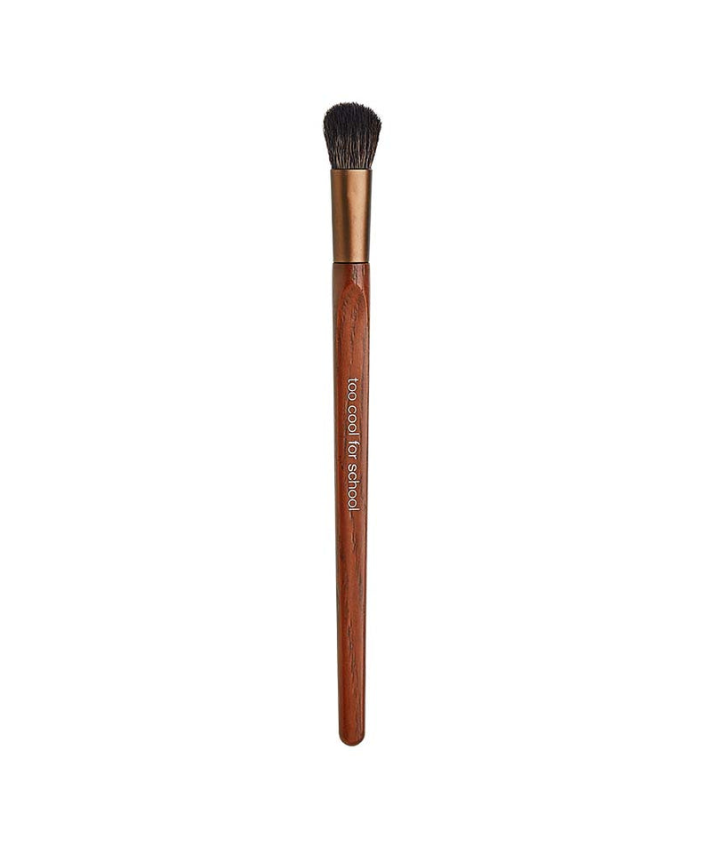TOO COOL FOR SCHOOL Artclass Vegan Eye Shadow Brush