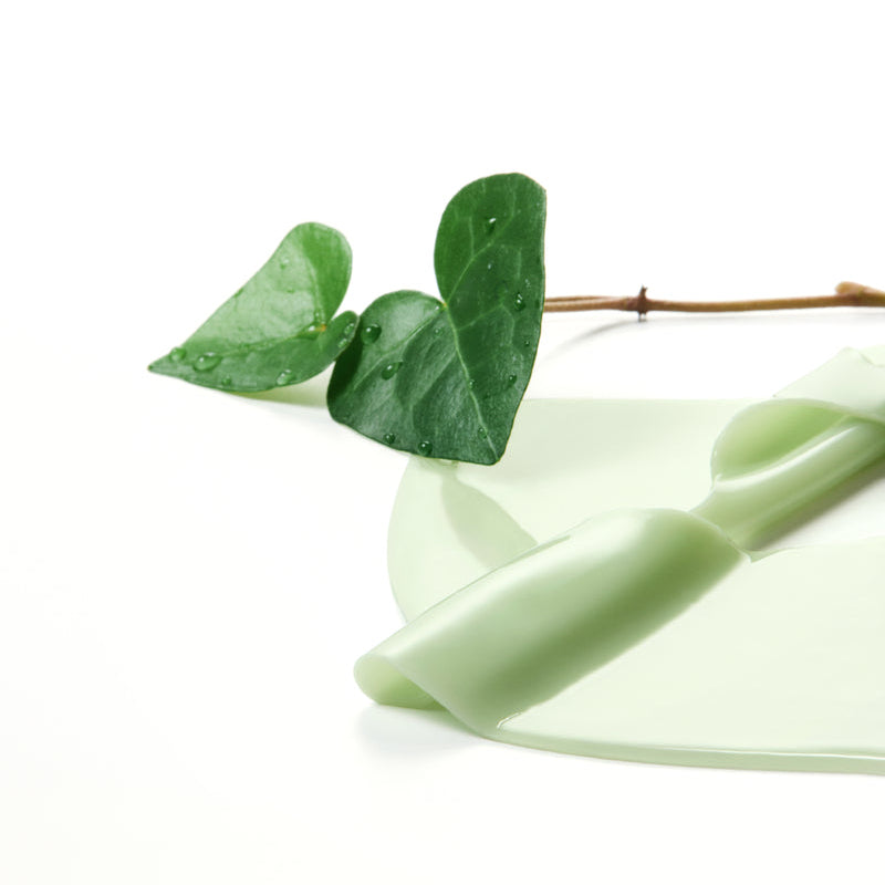 ANUA Heartleaf 70 Soothing Collagen Mask 4pcs with green leaf background