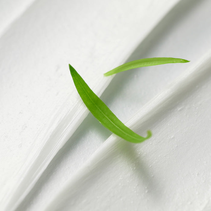 Close-up of a green leaf demonstrating natural ingredients in BLITHE Anti-Pollution Aging Pore Cleansing Foam BHA 0.5 150ml.