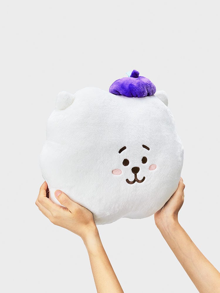 BT21 RJ CUSHION HOPE IN LOVE