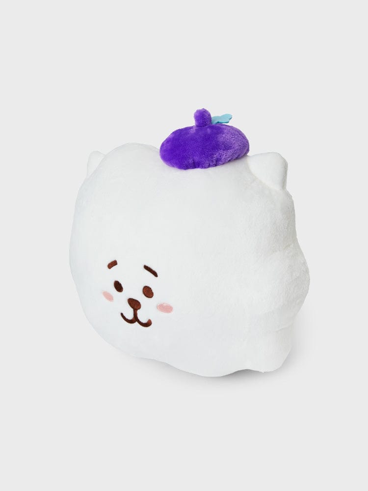 BT21 RJ CUSHION HOPE IN LOVE