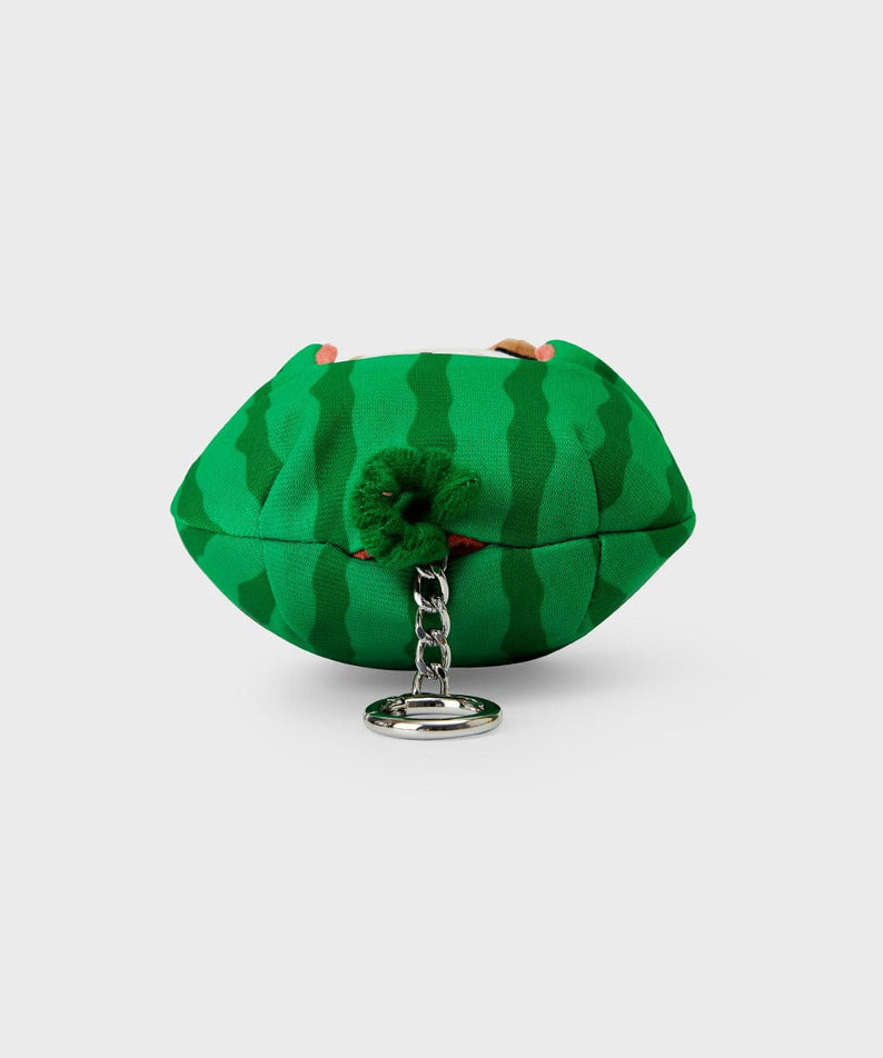 BT21 RJ SUMMER LANE BODY BAG CHARM