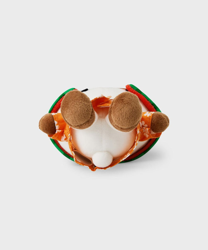 BT21 RJ SUMMER LANE BODY BAG CHARM