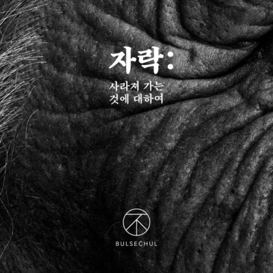 Bulsechul - [: ] - Kpop Album