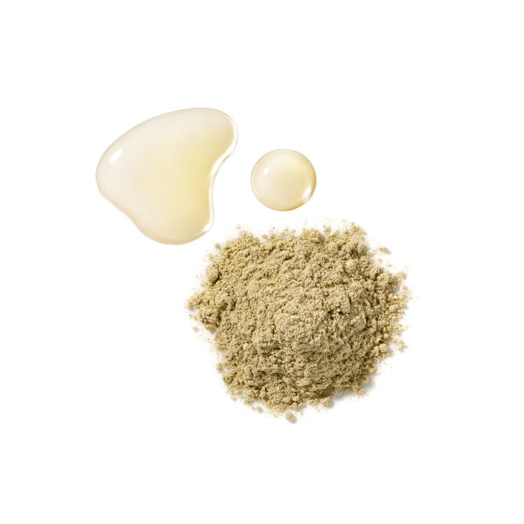 HOLITUAL Clean Therapy Powder Mask with powder and liquid texture on white background