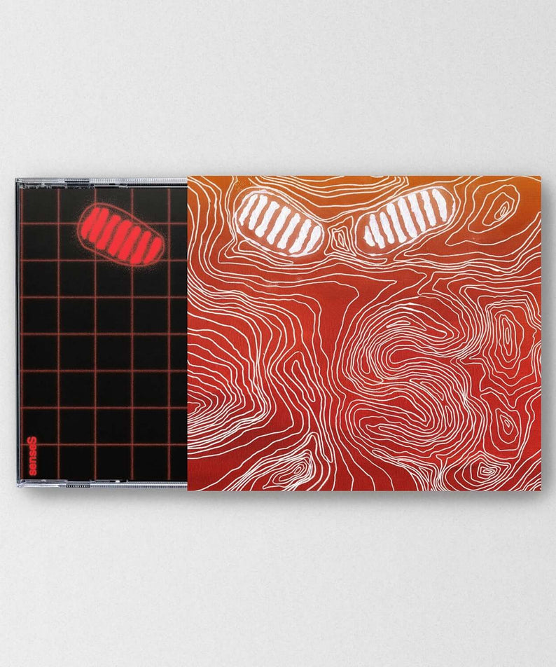 HONG DABIN - [senseS] - Kpop Album | Kool Seoul - Buy Kpop Albums Online