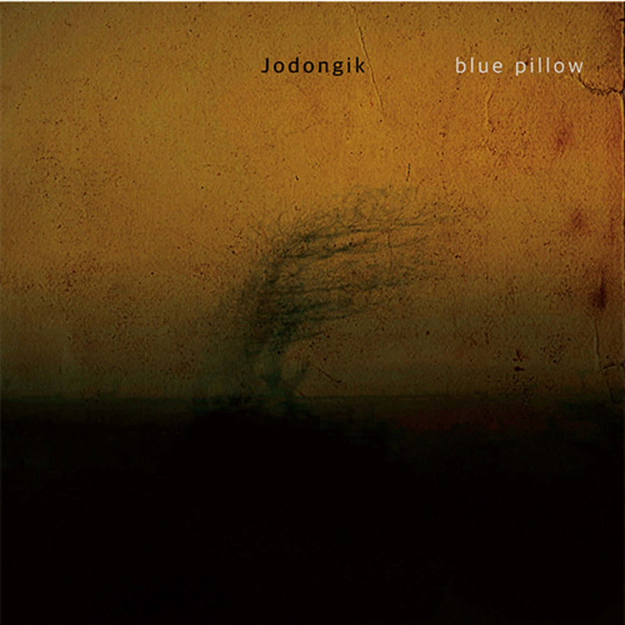 Jo Dongik - (Standard) - Kpop Album