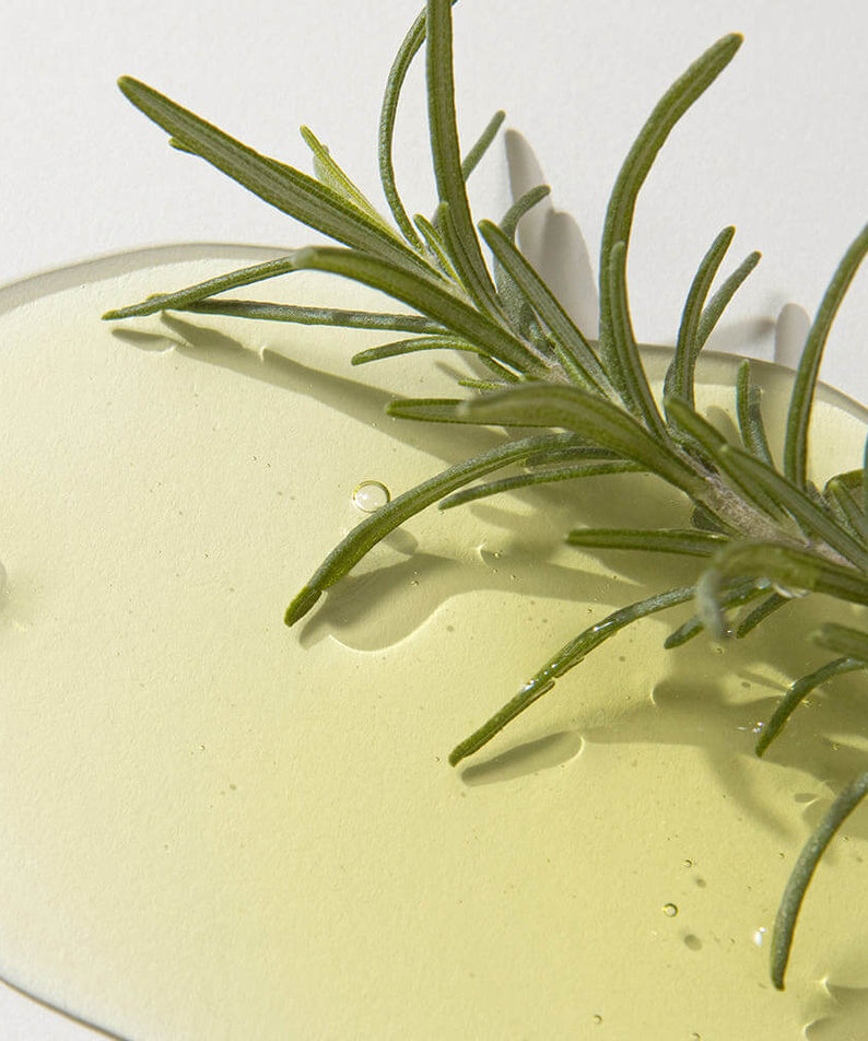 KAINE Rosemary AHA Night Serum 30ml texture with rosemary twig for skincare benefits
