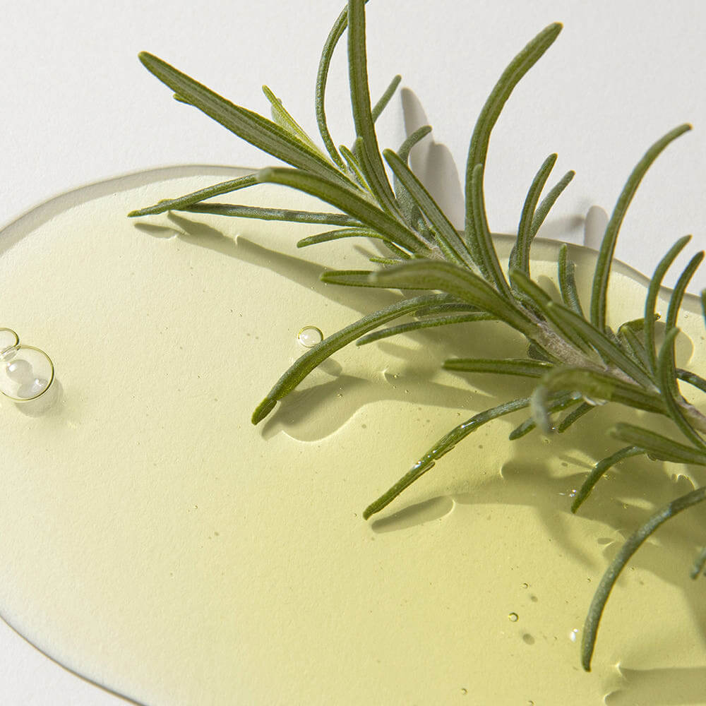 KAINE Rosemary AHA Night Serum 30ml texture with rosemary twig for skincare benefits