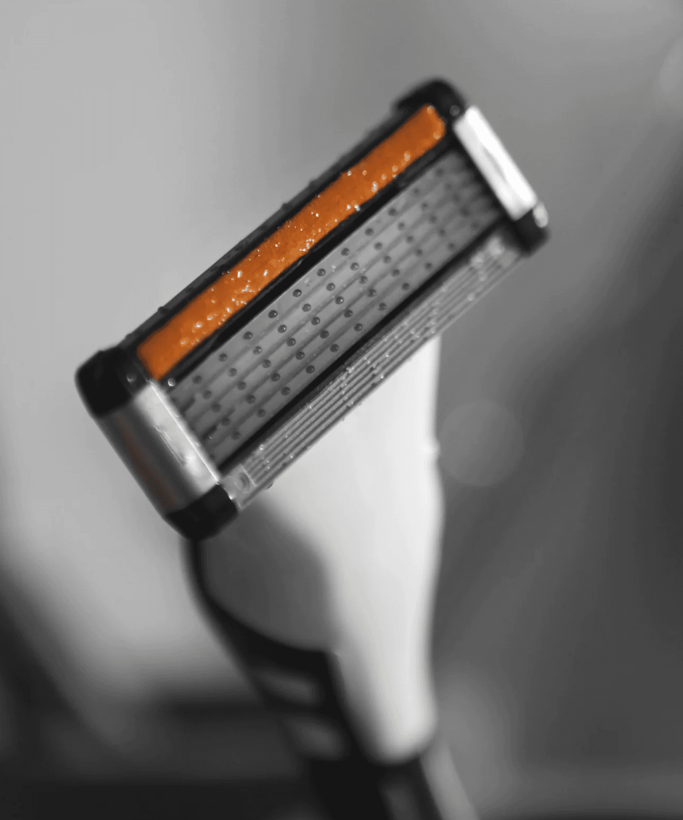 LAZY SOCIETY 8 5-Blade Cartridges razor cartridge close-up for Gentlemen Korea, 5-blade cartridge with lubricating strip, premium Korean men's shaving