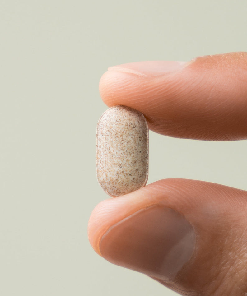 LAZY SOCIETY Black Maca Plus Supplement 120 Tablets - Gentleman Korea close-up of tablet held between fingers