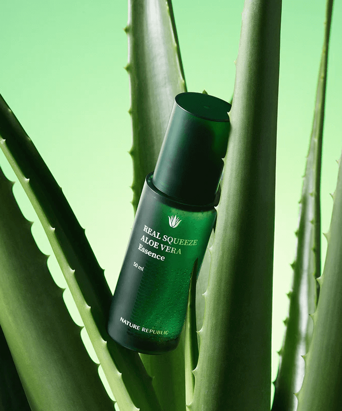 NATURE REPUBLIC Real Squeeze Aloe Vera Essence 50ml bottle showcased among aloe vera leaves on a green background