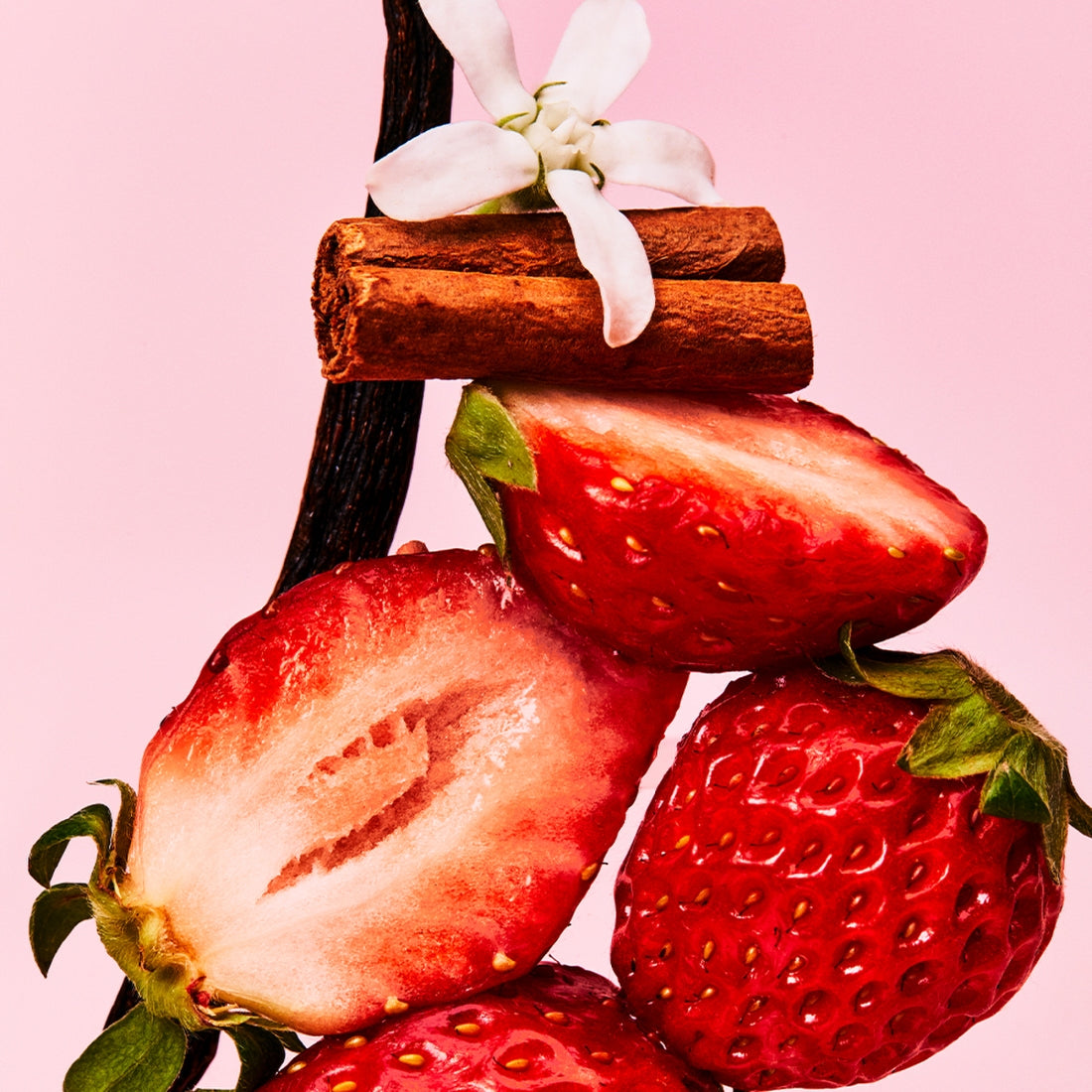 Fresh strawberries with vanilla pod, cinnamon sticks, and white flower on pink background representing OSULLOC Berry Vanilla Green Tea 20 P.
