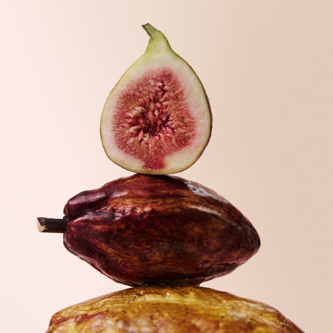 Fresh fig and cacao pod used in OSULLOC Fig Chocolate Black Tea 20 P blend.