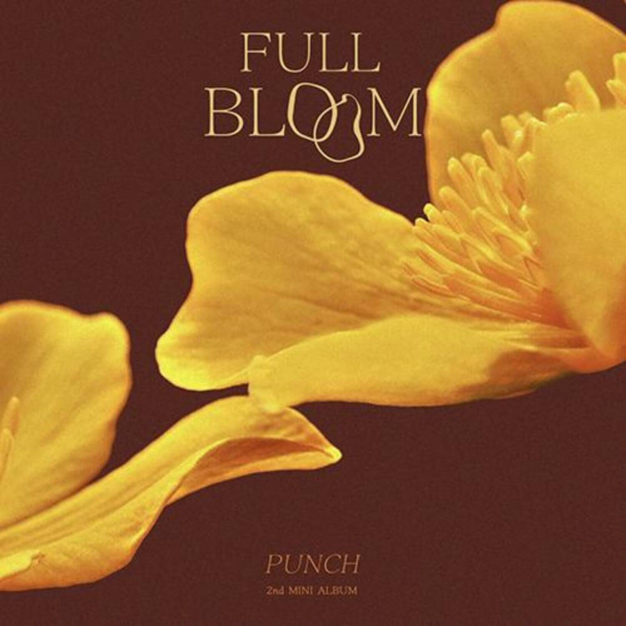 Punch - 2nd Album [Full Bloom ] - Kpop Album
