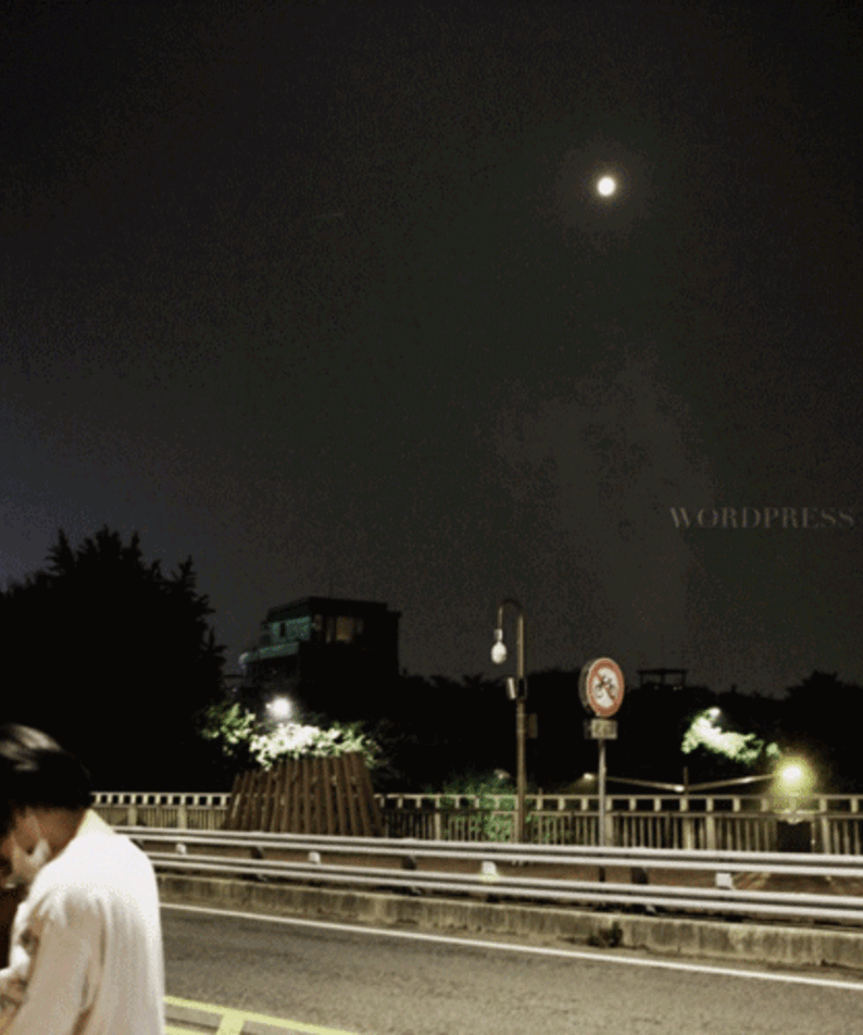 SHARKRAMA - [WORDPRESS] - Kpop Album | Kool Seoul - Buy Kpop Albums Online