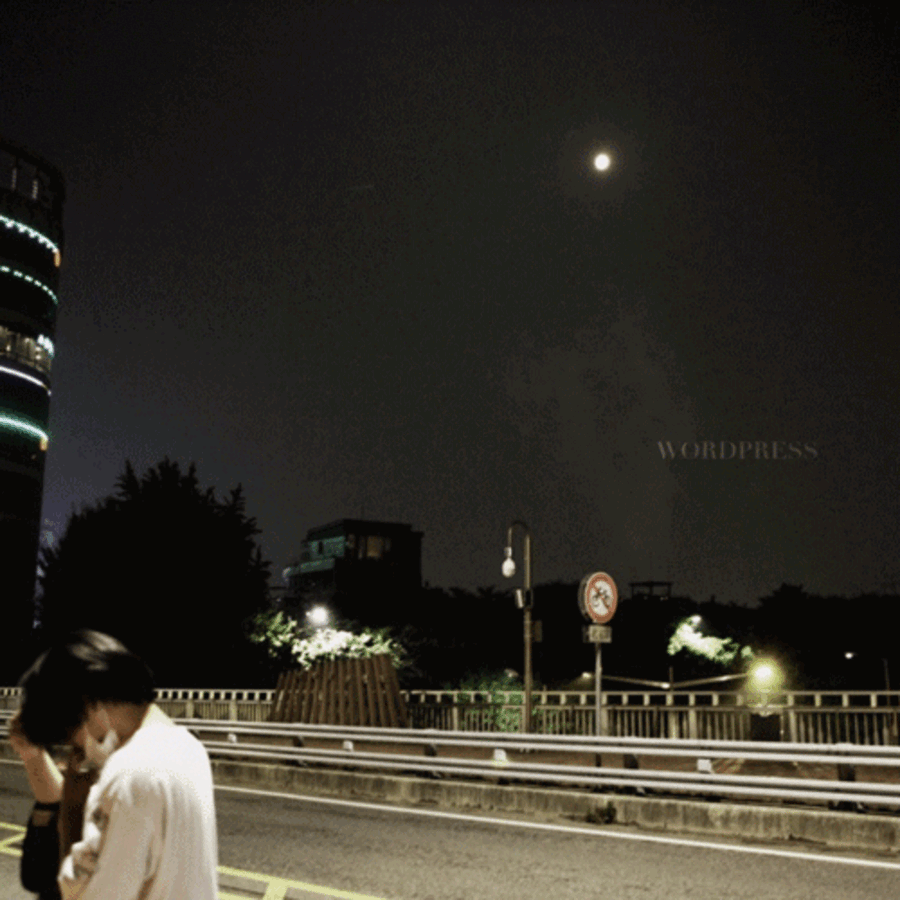 Sharkrama - [Wordpress] - Kpop Album