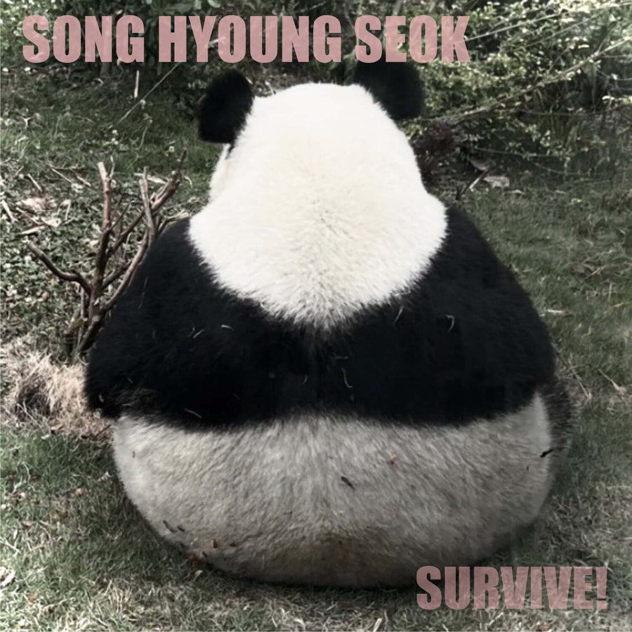 Song Hyungseok - [Survive] - Kpop Album