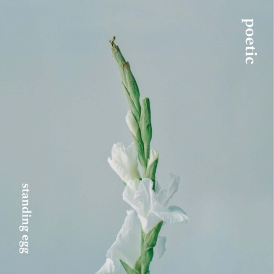 Standing Egg - Poetic - Kpop Album