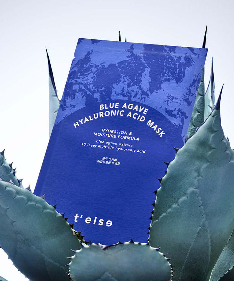 T'ELSE Blue Agave Hyaluronic Acid Mask 5 Pack displayed among agave plants