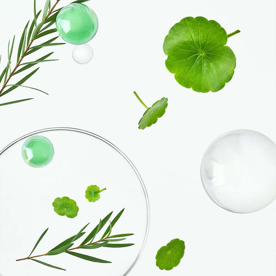 TOCOBO Cica Calming Serum ingredients, featuring natural green leaves and bubbles, highlighting skincare elements for soothing effects.