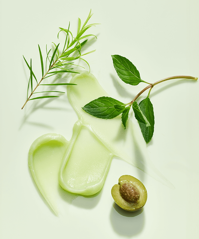 TOCOBO Mint cooling Lip Mask texture with mint and natural ingredients