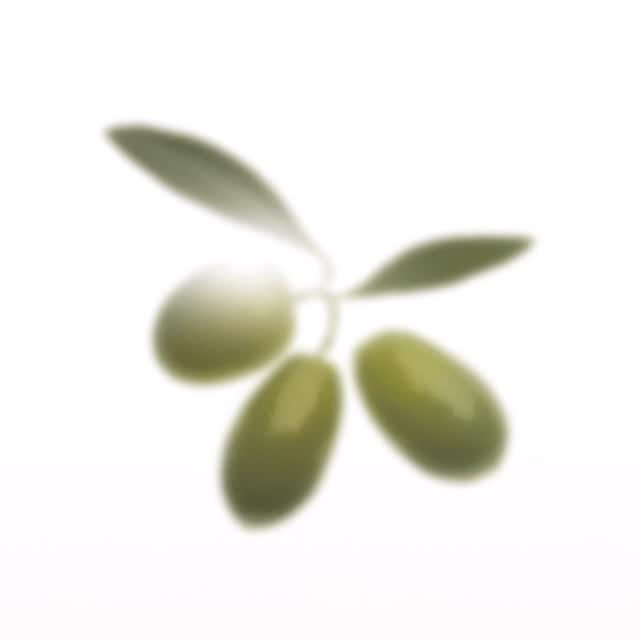 TRUE RX Ace Organic Live Oil product with fresh olives