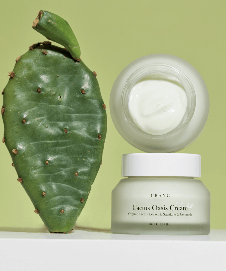 URANG Cactus Oasis Cream 50ml jar beside cactus pad for skincare hydration and moisture